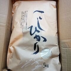 令和元年産　古古米　茨城県産コシヒカリ　5kg×4