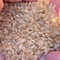 玄米　２０ｋｇ　古米（２０２１年収穫）売ります。