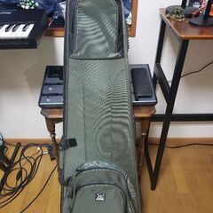 Xotic XJ-1T Electric Bass Guitar 