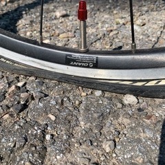 GIANT ESCAPE R3 軽快クロスバイク 24速 28-622(700x28c)