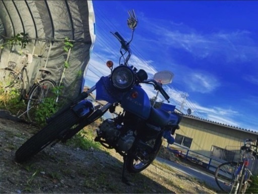 gs50｢自家塗装青色｣｢純正黒も可｣