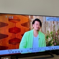 TCL 50インチ(50P815）AndroidTV スマートテレビ　2020モデル