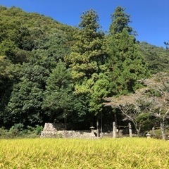 移住定住相談　岡山県井原市　2022年11月23日