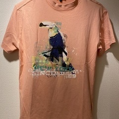 【Tシャツ】DKNY, JIMMY CHOO by H&M, P...