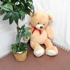 ☆T2191☆ Fancy bear おーきなくまさん　きれいで...