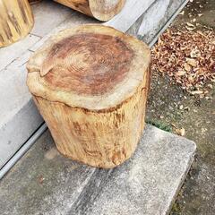 杉の原木丸太テーブル非常時の薪にも