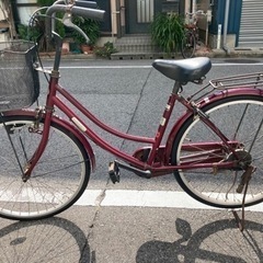 自転車　本日無料
