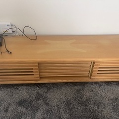 ニトリテレビボート