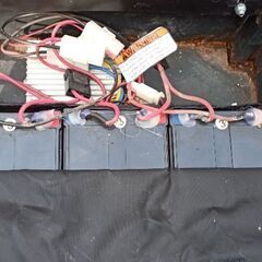 クレイジーカート XL 大人用 USA RAZOR社