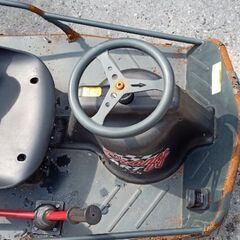 クレイジーカート XL 大人用 USA RAZOR社