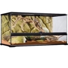 EXOTERRAの90センチ45センチ47センチガラスケース
