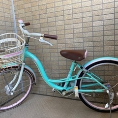20インチ−女の子用の自転車