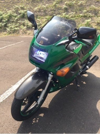 ZZR250 モンスターエナジー