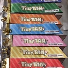 BTS  Tinytan ナムコ限定　オリジナル　リボンチャーム...