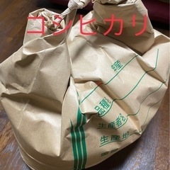 受付中！香美町産コシヒカリ上白米(約6kg)R3年産