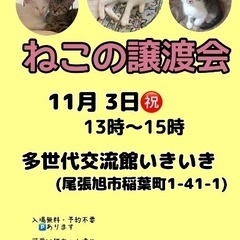 猫ちゃん達のお家探し会