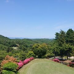 ⛳7-30ゴルフメンバー募集⛳