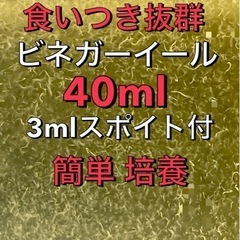 メダカ 針子 稚魚の餌 食いつき抜群              ...