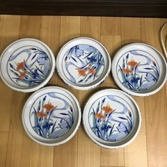 菖蒲の図案が綺麗な和皿　101