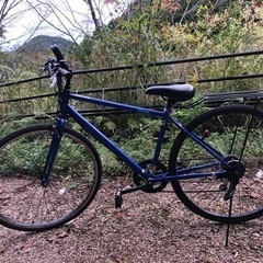 自転車(青)
