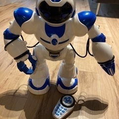 オーストラリア購入　ロボット
