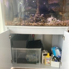 90cm オーバーフロー水槽セット(アクリル水槽、海水魚)