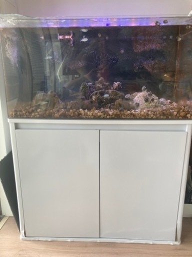 90cm オーバーフロー水槽セット(アクリル水槽、海水魚) owyukitchen.com