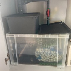 90cm オーバーフロー水槽セット(アクリル水槽、海水魚)