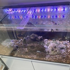 90cm オーバーフロー水槽セット(アクリル水槽、海水魚)