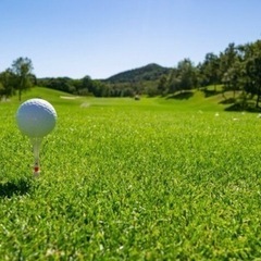 ゴルフ練習仲間募集⛳️の画像