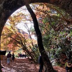 女性限定！11月30日(水) 春日井の愛岐トンネル群にハイキング！ 