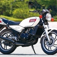 謝礼金1万円　RZ250について教えてください。メンテナンスなど