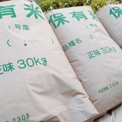 令和4年　新米　キヌヒカリ　30kg　産地:兵庫県加西市　