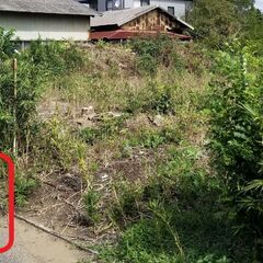 長生村の土地、お譲りします。