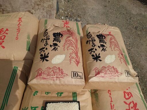 令和4年度 新潟県産 コシヒカリBL 玄米30キロ 無くなり次第終了 | www