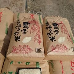 令和4年度　新潟県産　コシヒカリBL 玄米30キロ　無くなり次第終了