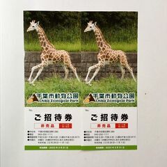 千葉市動物公園招待券 2枚 ～2023.3.31