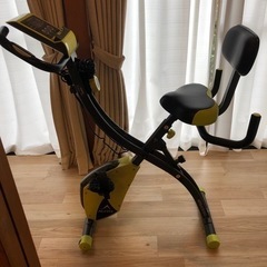 ALINCO FITNESS自転車マシーン 