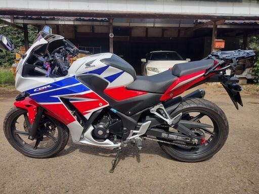 最後の値下げ★バッテリー新品★程度良好美車★低走行5116キロ★ホンダ★CBR250R MC41★安心のABS付★カスタム多数★2015年型★ 最後の値下げ☆バッテリー新品☆程度良好美車☆低走行5116キロ