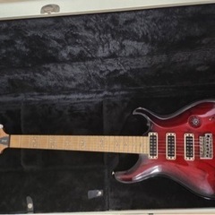 PRS 25th Anniversary Swamp Ash Special美品
