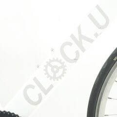 VIANOVA 「ヴィアノバ」 CLOCK.U オリジナルピストバイク 年式不明