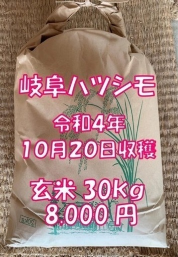 令和4年収穫　ほぼ無農薬　岐阜ハツシモ　玄米30キロ