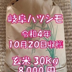 令和4年収穫　ほぼ無農薬　岐阜ハツシモ　玄米30キロ