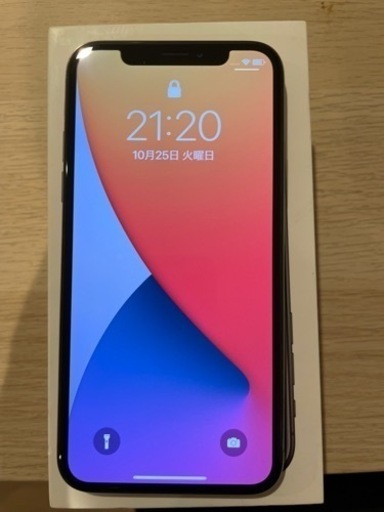 iPhoneX ほぼジャンク