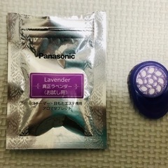 パナソニック EH-SA3B-N スチーマー ナノケア コンパクトタイプ