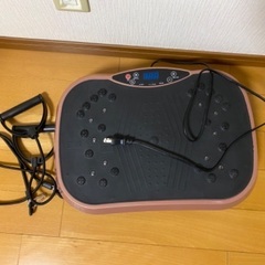 5/16(日)引き渡し】ディスポーザー 新品未開封 エマソン社 アメリカ直輸入