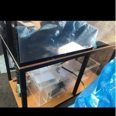 150水槽、アクリル水槽、150アクリルオーバーフロー水槽