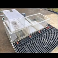 150水槽、アクリル水槽、150アクリルオーバーフロー水槽