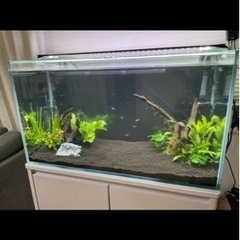 ⭐️福岡近郊配送します⭐️90cm水槽 水槽台 外部式フィルター LED照明　