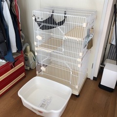 猫のトイレ新品‼️大至急‼️